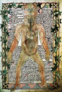 Illustration du XIIIe siècle montrant les veines_WEB